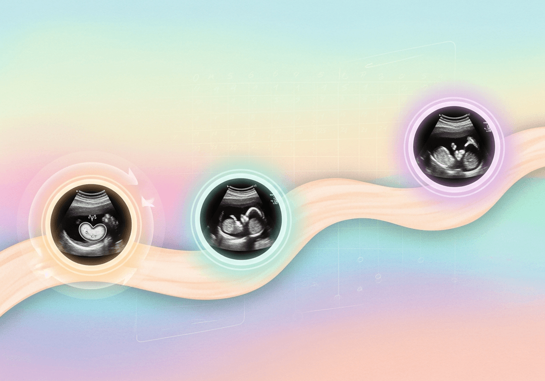 Nombre d'échographies pendant la grossesse